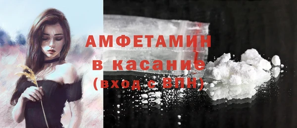 мдпв Галич