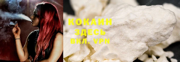 дживик Алексин