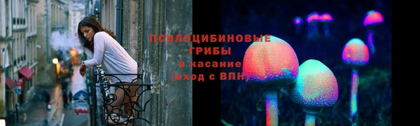 дживик Алексин