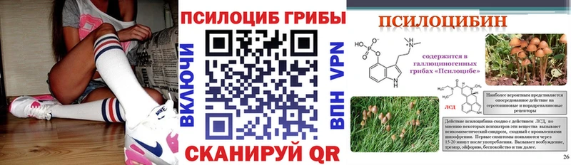Псилоцибиновые грибы MAGIC MUSHROOMS  как найти наркотики  Курлово 